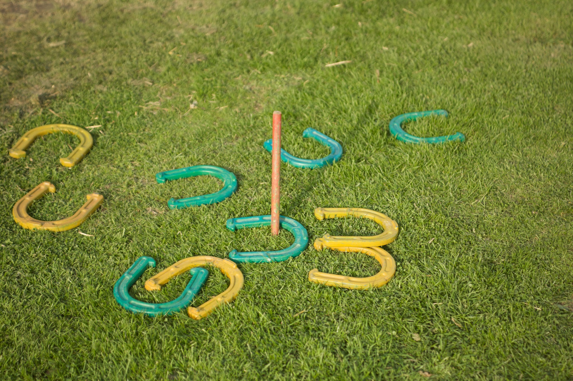 Colourful horseshoes on grass ready for throwing