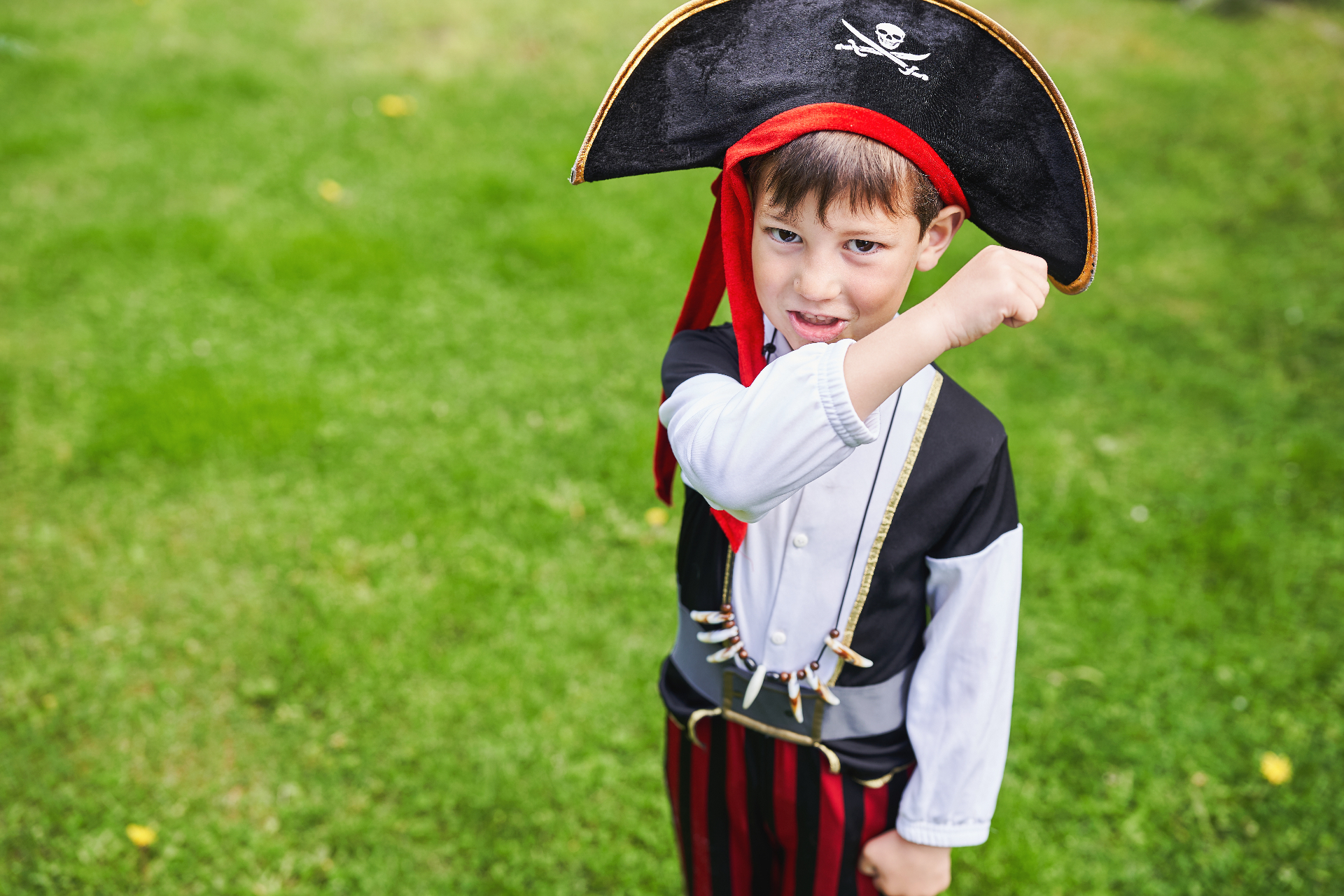 Young boy in a pirate hat and costume