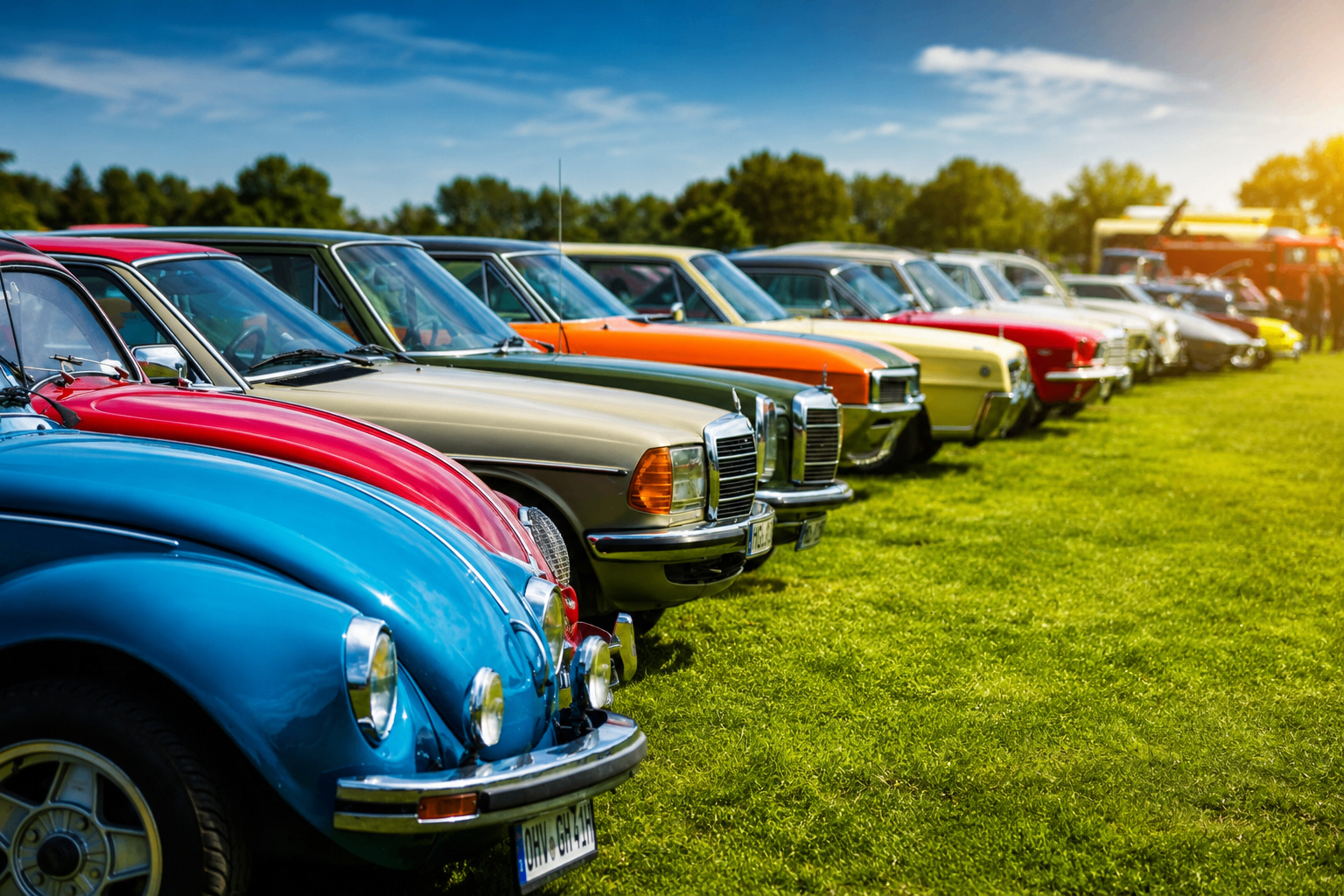 Colourful lineup of classic cars on the grass