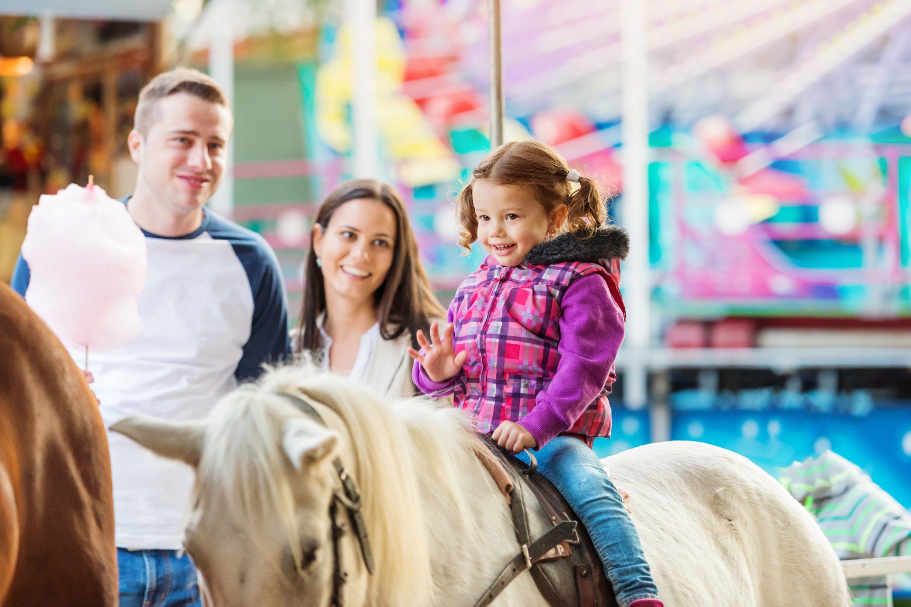 Pony at the fair
